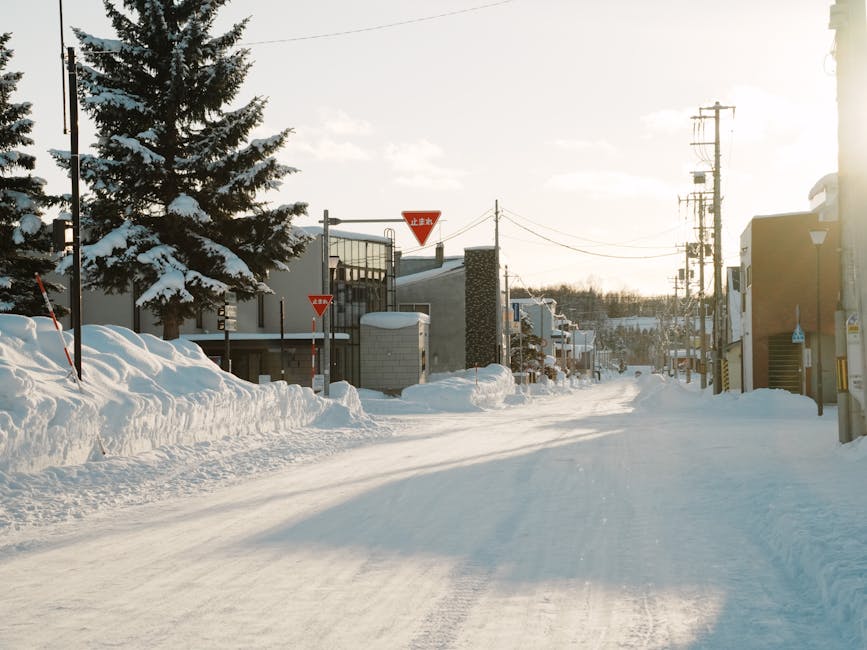 Hokkaido Snow 2026: Best Skiing, Snowboarding & Winter Activities Guide